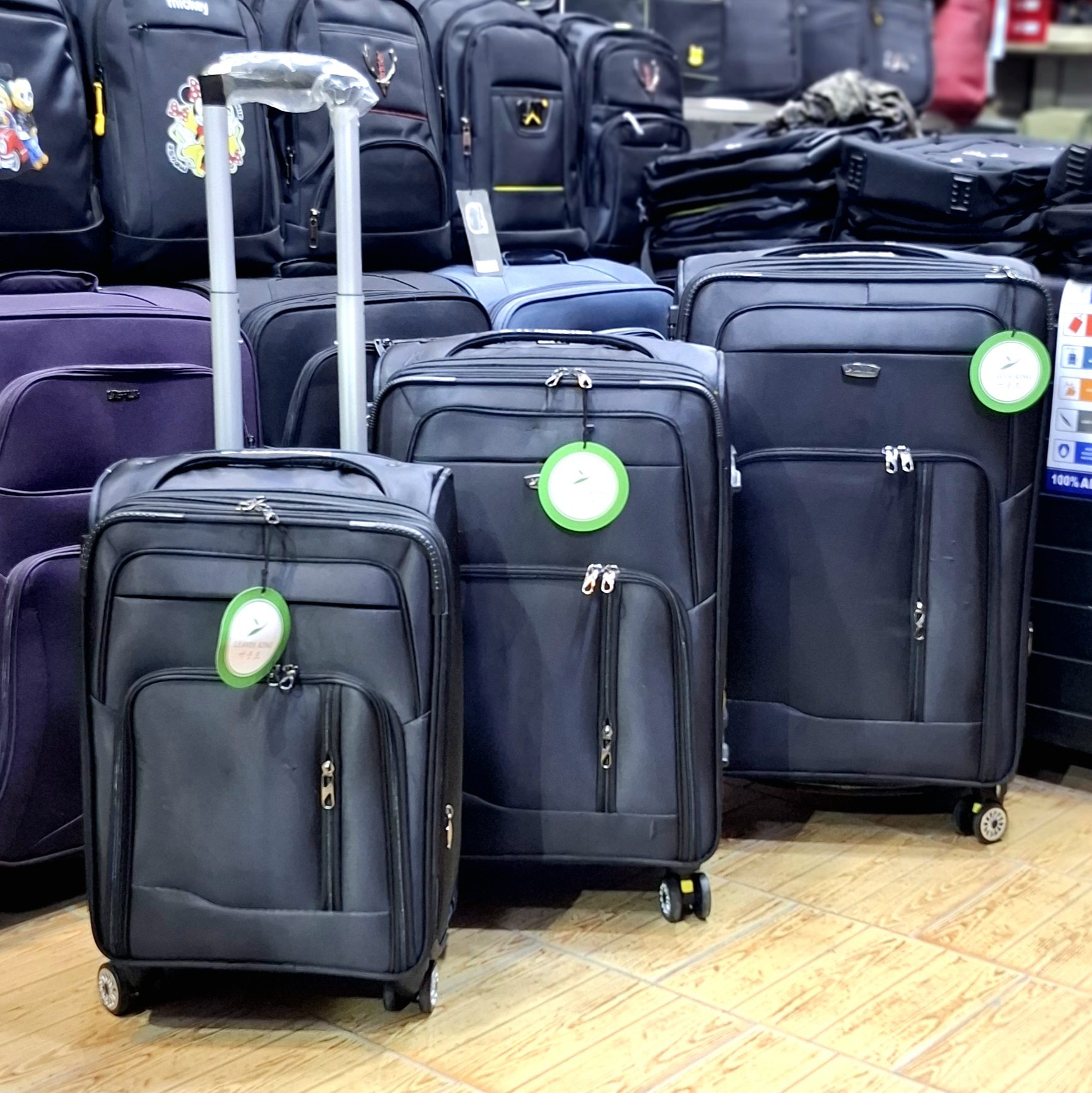 چمدان کوچک leavesking