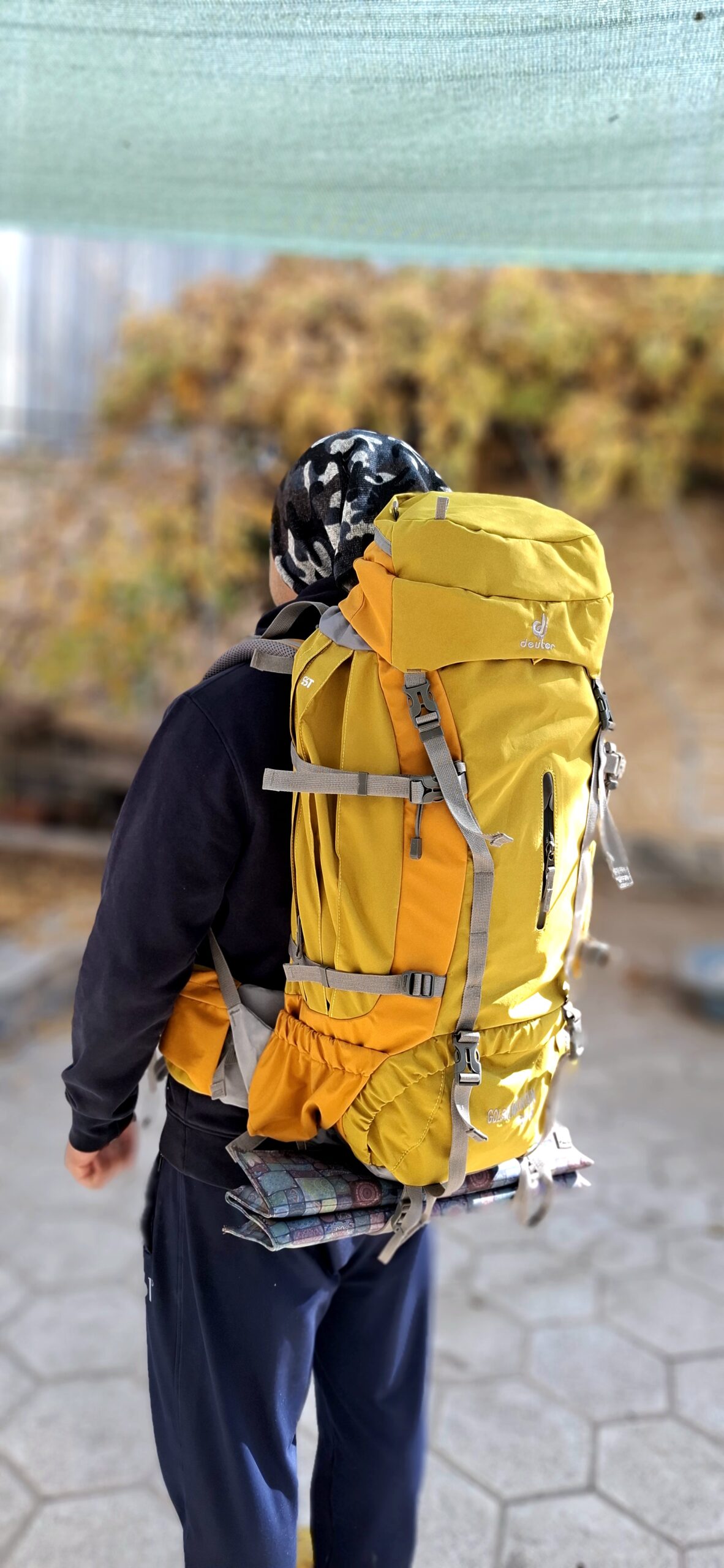 کوله کوهنوردی دیوتر کاوردار